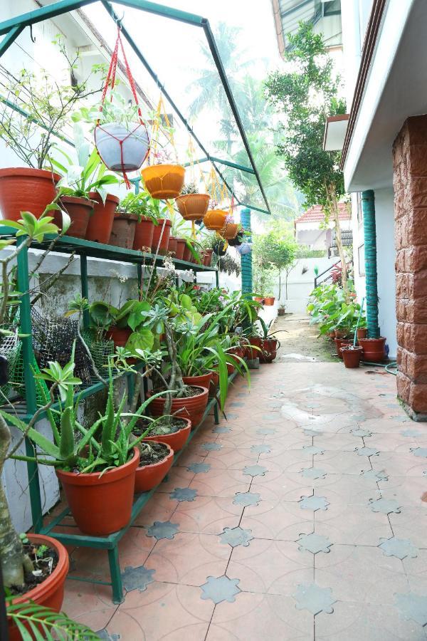 Jasmin Villa Коччи Экстерьер фото